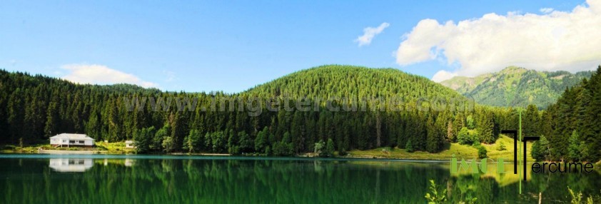 Artvin Tercüme Bürosu