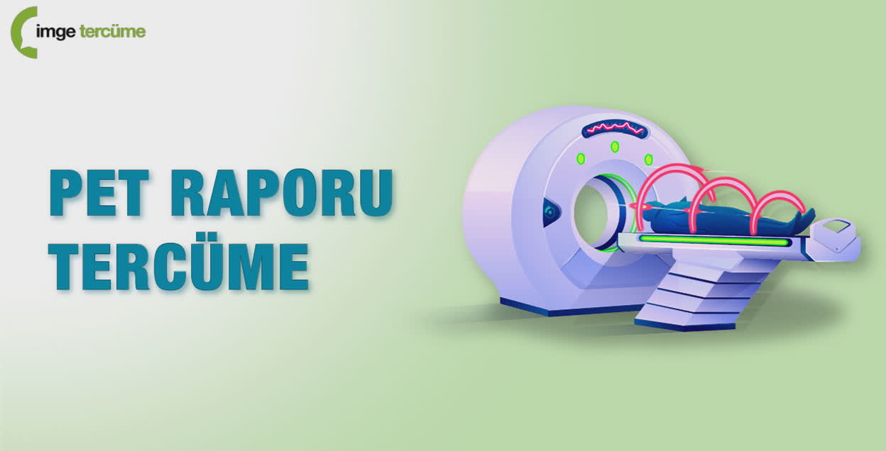 Pet Raporu Tercüme