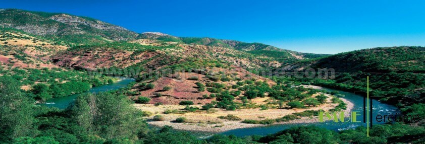 Tunceli Tercüme Bürosu